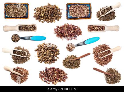 Set aus verschiedenen sichuan-Pfeffer-Ausschnitt auf weißem Hintergrund Stockfoto