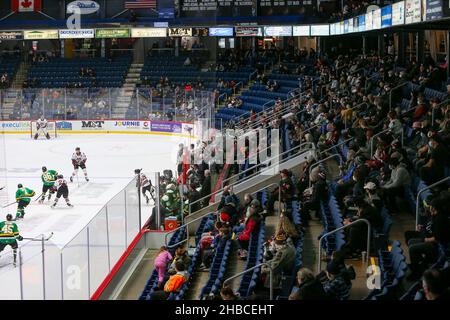 Ontario, Kanada. 18th. Dezember 2021, Guelph, Ontario, Kanada. Neue Regierungsbeschränkungen von Ontario begrenzen die in Ontario gespielten Spiele auf 50 % Kapazität. Luke Durda/Alamy Live-Nachrichten Stockfoto