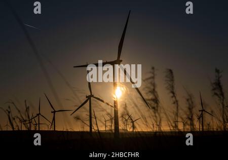 Wintersonnengang über Turbinen auf dem ScottishPower Whitelee Wind Farm in Eaglesham Moor, Schottland. Stockfoto