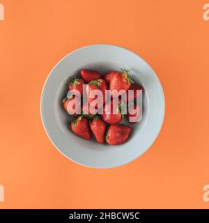 Erdbeeren in einem pastellblauen Teller auf orangefarbenem Hintergrund. Frische Sommerbeeren. Gesunde Ernährung. Flach liegend. Draufsicht. Stockfoto