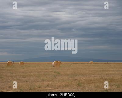 Feld mit großen runden Heuballen in Montana, mit Sturmwolken darüber. Das Bild verfügt über Kopierspeicher. Stockfoto