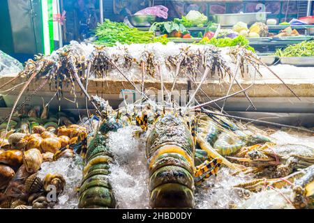 Hummer, Meeresfrüchte, die auf dem Nachtmarkt in Chinatown von Bangkok, Thailand, ausgestellt werden Stockfoto