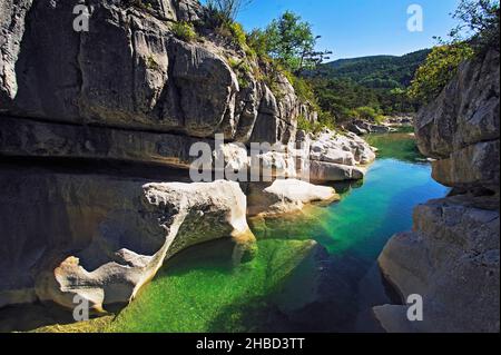 FRANKREICH, VAR (83), TRIGNACE, DER JABRON CANYON IM NATURPARK VON VERDON Stockfoto