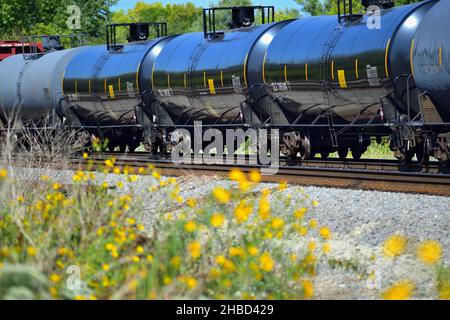 Hoffman Estates, Illinois, USA. Der Schutz der Umwelt ist eine fortwährende Verantwortung für Eisenbahnen. Stockfoto