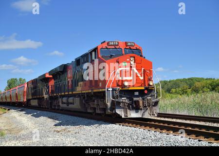 Hoffman Estates, Illinois, USA. Die Lokomotiven der Canadian National Railway führen einen Güterzug durch eine Kurve in einem ländlichen Abschnitt im Nordosten von Illinois. Stockfoto