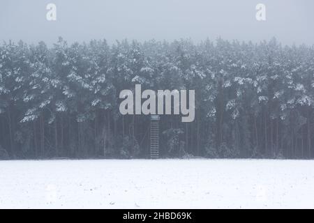 Single hoight Sitz in einer Winterlandschaft am Waldrand Stockfoto