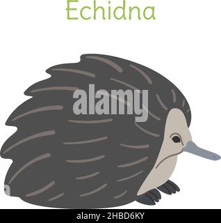 Das Echidna steht. Australischer Vogel im einfachen Stil. Flache Vektorgrafik isoliert auf weißem Hintergrund. Stock Vektor