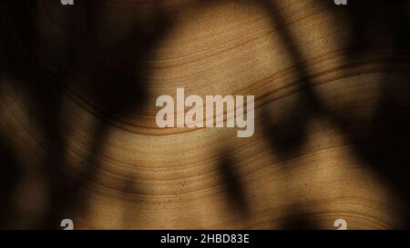 Kurvig braunes Sandsteinmuster mit Licht und Schatten Stockfoto