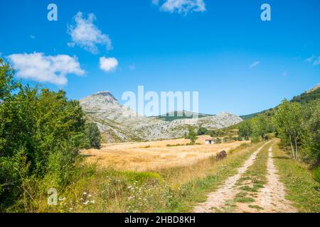 Querformat. Villafria de la Peña, Provinz Palencia, Castilla Leon, Spanien. Stockfoto