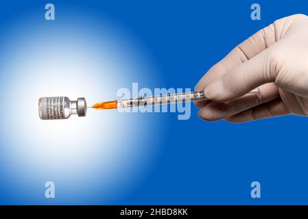 Turin, Italien - 18. Dezember 2021: Pfizer-BioNTech COVID-19-Impfstoff Comirnaty-Fläschchen, Hand mit Latexhandschuh und Spritze, die die Impfdosis aus dem Fläschchen zieht Stockfoto