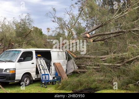 Narrabeen, Sydney, Australien. 19th Dez 2021. Narrabeen, Sydney, Australien. 19th Dez 2021. Ein Freak-Sturm brachte Bäume und Stromleitungen an den nördlichen Stränden Sydneys zum Erliegen, eine Dame ist gestorben und andere sind kritisch, Rettungsdienste und Zivilangestellte am Ort des umgestürzten Baumes, der eine Dame in der Nähe des Narrabeen Surf Club tötete. Quelle: martin Berry/Alamy Live News Stockfoto