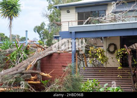 Narrabeen, Sydney, Australien. 19th Dez 2021. Narrabeen, Sydney, Australien. 19th Dez 2021. Ein Freak-Sturm brachte Bäume und Stromleitungen an den nördlichen Stränden Sydneys zum Erliegen, eine Dame ist gestorben und andere sind kritisch, Rettungsdienste und Zivilangestellte am Ort des umgestürzten Baumes, der eine Dame in der Nähe des Narrabeen Surf Club tötete. Quelle: martin Berry/Alamy Live News Stockfoto