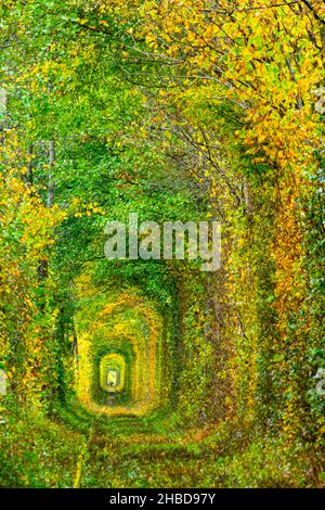 Tunnel der Liebe in der ukraine mit bunten Herbstblättern. Menschen, die den Tunnel hinuntergehen. Stockfoto