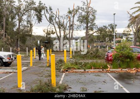 Narrabeen, Sydney, Australien. 19th Dez 2021. Narrabeen, Sydney, Australien. 19th Dez 2021. Ein Freak-Sturm brachte Bäume und Stromleitungen an den nördlichen Stränden Sydneys zum Erliegen, eine Dame ist gestorben und andere sind kritisch, Rettungsdienste und Zivilangestellte am Ort des umgestürzten Baumes, der eine Dame in der Nähe des Narrabeen Surf Club tötete. Quelle: martin Berry/Alamy Live News Stockfoto