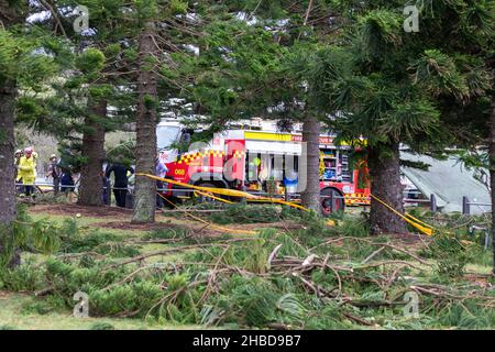 Narrabeen, Sydney, Australien. 19th Dez 2021. Narrabeen, Sydney, Australien. 19th Dez 2021. Ein Freak-Sturm brachte Bäume und Stromleitungen an den nördlichen Stränden Sydneys zum Erliegen, eine Dame ist gestorben und andere sind kritisch, Rettungsdienste und Zivilangestellte am Ort des umgestürzten Baumes, der eine Dame in der Nähe des Narrabeen Surf Club tötete. Quelle: martin Berry/Alamy Live News Stockfoto