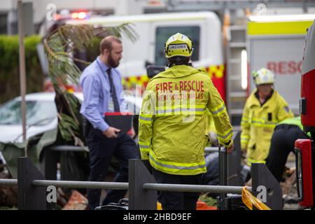 Narrabeen, Sydney, Australien. 19th Dez 2021. Narrabeen, Sydney, Australien. 19th Dez 2021. Ein Freak-Sturm brachte Bäume und Stromleitungen an den nördlichen Stränden Sydneys zum Erliegen, eine Dame ist gestorben und andere sind kritisch, Rettungsdienste und Zivilangestellte am Ort des umgestürzten Baumes, der eine Dame in der Nähe des Narrabeen Surf Club tötete. Quelle: martin Berry/Alamy Live News Stockfoto