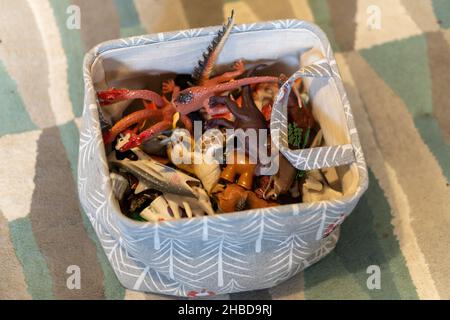 POZNAN, POLEN - 14. Nov 2021: Nahaufnahme einer Kiste mit Tierfiguren in Poznan, Polen Stockfoto