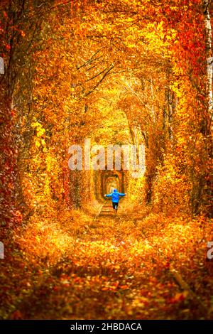 Glückliche Person mit ausgebreiteten Händen läuft den Tunnel hinunter und genießt den Herbst.Tunnel der Liebe in der Ukraine. Orangefarbenes Hintergrundbild. Stockfoto