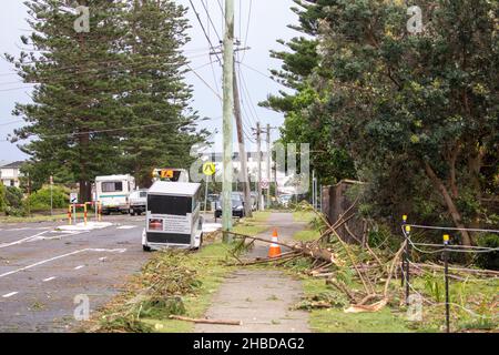 Narrabeen, Sydney, Australien. 19th Dez 2021. Ein Freak-Sturm brachte Bäume und Stromleitungen an den nördlichen Stränden Sydneys zum Erliegen, eine Dame ist gestorben und andere sind kritisch, Rettungsdienste und Zivilangestellte am Ort des umgestürzten Baumes, der eine Dame in der Nähe des Narrabeen Surf Club tötete. Quelle: martin Berry/Alamy Live News Stockfoto