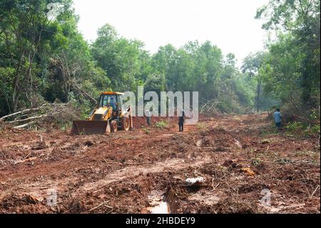 Auroville, Indien - 15th. Dezember 2021: Die Schäden, die durch einen schnellen Eingriff von 3 JCB-Baggern im Wald von Auroville entstanden sind. Stockfoto