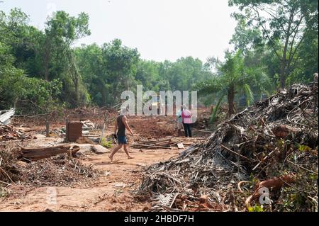 Auroville, Indien - 15th. Dezember 2021: Die Schäden, die durch einen schnellen Eingriff von 3 JCB-Baggern im Wald von Auroville entstanden sind. Stockfoto