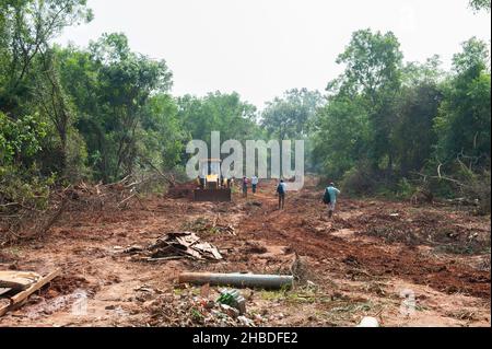 Auroville, Indien - 15th. Dezember 2021: Die Schäden, die durch einen schnellen Eingriff von 3 JCB-Baggern im Wald von Auroville entstanden sind. Stockfoto