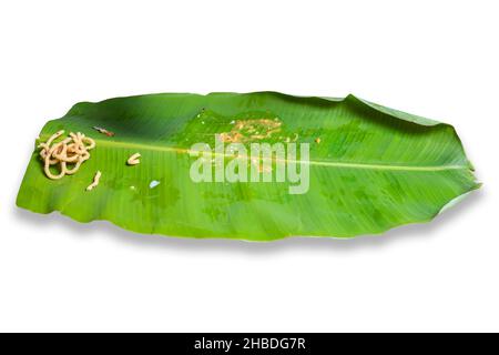 Das verbleibende Drehmoment mit leerem Bananenblatt nach dem Essen auf Festessen Stockfoto