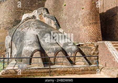 The Lion's Paw at the Lion Staircase Zugang zum Rock Top Palace in Sigiriya (Lion Rock), einem historischen Monument im Sri Lanka Cultural Triangle Stockfoto