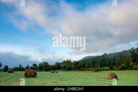 Morgenszene mit Heuballen und einem dramatischen Himmel mit einer fernen takonischen Bergkulisse im Süden von Vermont. Stockfoto