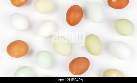 Hähncheneier Muster Draufsicht. Bio-Eier auf weißem Hintergrund verstreut. Hähnchen Ostereier Banner mit Kopierplatz. Stockfoto