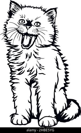 Katze, Peeking Kitten - fröhliche Kätzchen isoliert auf weiß - Vektor Stock Illustration Stock Vektor