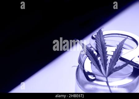 Cannabis Marihuana Blatt, Handschellen, Dose Wasser. Die Illegalität von Drogen. Weißer Hintergrund. Transparenter Behälter. Minimalismus. SCHWARZER SCHATTEN AUF der di Stockfoto