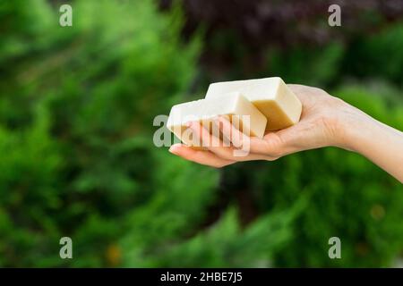 Frau Hände halten organische Seife oder festes Shampoo ohne Verpackung auf grünem Hintergrund. Gesunder Lebensstil, Schönheit, Hautpflege, Zero Waste Konzept. Stockfoto