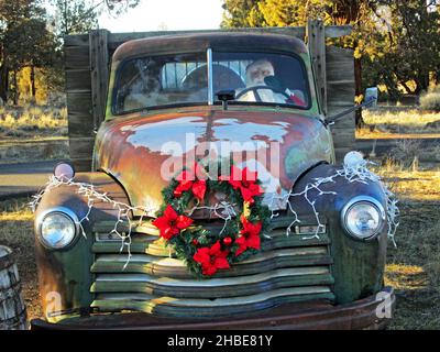 Porträt eines alten Ford-LKW, verlassen auf einem Unkrautfeld in der Nähe der Stadt Bend, Oregon. Stockfoto