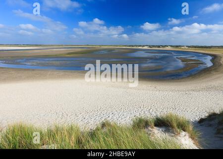 Naturschutzgebiet, De Slufter, mit Gezeitenbach und Marram-Gras, Insel Texel, Holland, Europa Stockfoto
