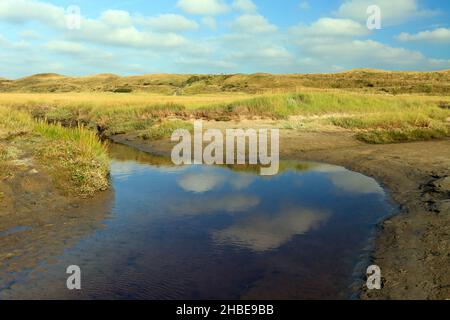 Naturschutzgebiet, De Slufter, mit Gezeitenbach und Marram-Gras, Insel Texel, Holland, Europa Stockfoto