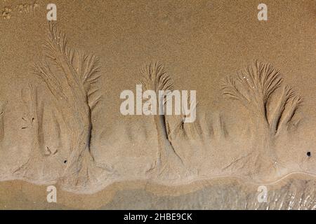 Muster von Wasserströmen im Sand, verursacht durch das bei Ebbe zurückfließende Meerwasser, Insel Texel, Holland, Europa Stockfoto