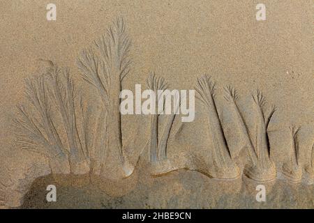 Muster von Wasserströmen im Sand, verursacht durch das bei Ebbe zurückfließende Meerwasser, Insel Texel, Holland, Europa Stockfoto