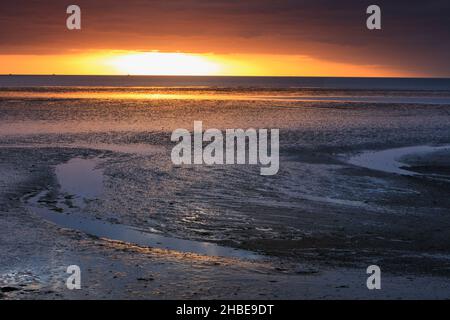 Sonnenaufgang über dem wattenmeer, bei Ebbe, vor der Küste von der Insel Texel, Holland, Europa Stockfoto