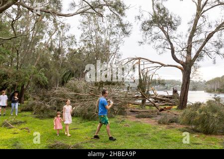 Narrabeen im Norden Sydneys wurde im Dezember 2021 von einem Mini-Zyklon, Sydney, Australien, überfahren Stockfoto