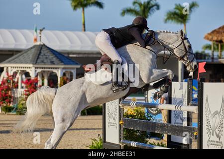 Wellington, Florida, USA. 19th. Dezember 2021. Beim Vita Flex Grand Prix springen Sie über das Hindernis. High Junior Jumper Stake. Hoher Amateur-Jumper-Einsatz. Mittlerer Junior-Jumper-Einsatz. Mittelgroßer Amateur-Jumper-Einsatz. Großer Preis. Kredit: Yaroslav Sabitov/YES Market Media/Alamy Live Nachrichten Stockfoto