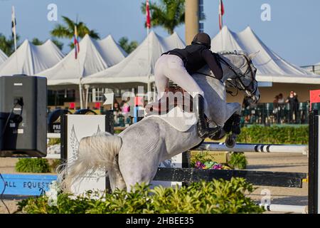 Wellington, Florida, USA. 19th. Dezember 2021. Beim Vita Flex Grand Prix springen Sie über das Hindernis. High Junior Jumper Stake. Hoher Amateur-Jumper-Einsatz. Mittlerer Junior-Jumper-Einsatz. Mittelgroßer Amateur-Jumper-Einsatz. Großer Preis. Kredit: Yaroslav Sabitov/YES Market Media/Alamy Live Nachrichten Stockfoto