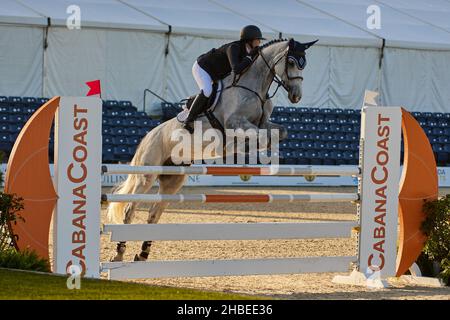 Wellington, Florida, USA. 19th. Dezember 2021. Beim Vita Flex Grand Prix springen Sie über das Hindernis. High Junior Jumper Stake. Hoher Amateur-Jumper-Einsatz. Mittlerer Junior-Jumper-Einsatz. Mittelgroßer Amateur-Jumper-Einsatz. Großer Preis. Kredit: Yaroslav Sabitov/YES Market Media/Alamy Live Nachrichten Stockfoto