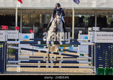 Wellington, Florida, USA. 19th. Dezember 2021. Beim Vita Flex Grand Prix springen Sie über das Hindernis. High Junior Jumper Stake. Hoher Amateur-Jumper-Einsatz. Mittlerer Junior-Jumper-Einsatz. Mittelgroßer Amateur-Jumper-Einsatz. Großer Preis. Kredit: Yaroslav Sabitov/YES Market Media/Alamy Live Nachrichten Stockfoto