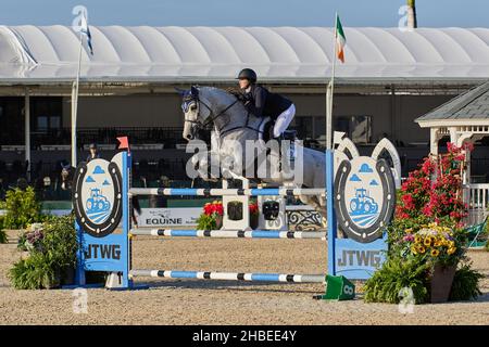 Wellington, Florida, USA. 19th. Dezember 2021. Beim Vita Flex Grand Prix springen Sie über das Hindernis. High Junior Jumper Stake. Hoher Amateur-Jumper-Einsatz. Mittlerer Junior-Jumper-Einsatz. Mittelgroßer Amateur-Jumper-Einsatz. Großer Preis. Kredit: Yaroslav Sabitov/YES Market Media/Alamy Live Nachrichten Stockfoto