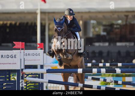 Wellington, Florida, USA. 19th. Dezember 2021. Beim Vita Flex Grand Prix springen Sie über das Hindernis. High Junior Jumper Stake. Hoher Amateur-Jumper-Einsatz. Mittlerer Junior-Jumper-Einsatz. Mittelgroßer Amateur-Jumper-Einsatz. Großer Preis. Kredit: Yaroslav Sabitov/YES Market Media/Alamy Live Nachrichten Stockfoto