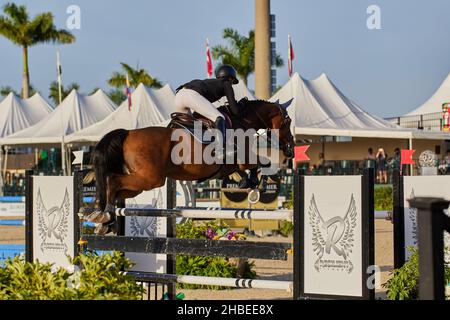 Wellington, Florida, USA. 19th. Dezember 2021. Beim Vita Flex Grand Prix springen Sie über das Hindernis. High Junior Jumper Stake. Hoher Amateur-Jumper-Einsatz. Mittlerer Junior-Jumper-Einsatz. Mittelgroßer Amateur-Jumper-Einsatz. Großer Preis. Kredit: Yaroslav Sabitov/YES Market Media/Alamy Live Nachrichten Stockfoto