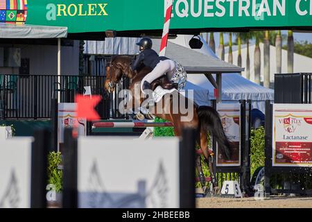 Wellington, Florida, USA. 19th. Dezember 2021. Beim Vita Flex Grand Prix springen Sie über das Hindernis. High Junior Jumper Stake. Hoher Amateur-Jumper-Einsatz. Mittlerer Junior-Jumper-Einsatz. Mittelgroßer Amateur-Jumper-Einsatz. Großer Preis. Kredit: Yaroslav Sabitov/YES Market Media/Alamy Live Nachrichten Stockfoto