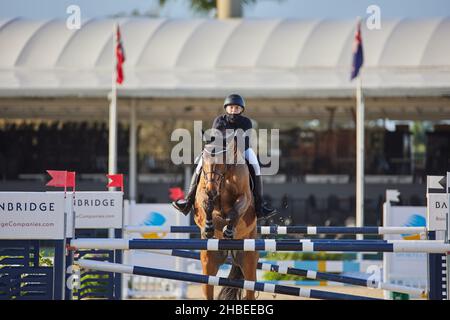 Wellington, Florida, USA. 19th. Dezember 2021. Beim Vita Flex Grand Prix springen Sie über das Hindernis. High Junior Jumper Stake. Hoher Amateur-Jumper-Einsatz. Mittlerer Junior-Jumper-Einsatz. Mittelgroßer Amateur-Jumper-Einsatz. Großer Preis. Kredit: Yaroslav Sabitov/YES Market Media/Alamy Live Nachrichten Stockfoto