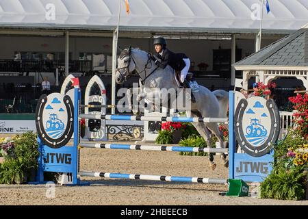 Wellington, Florida, USA. 19th. Dezember 2021. Beim Vita Flex Grand Prix springen Sie über das Hindernis. High Junior Jumper Stake. Hoher Amateur-Jumper-Einsatz. Mittlerer Junior-Jumper-Einsatz. Mittelgroßer Amateur-Jumper-Einsatz. Großer Preis. Kredit: Yaroslav Sabitov/YES Market Media/Alamy Live Nachrichten Stockfoto